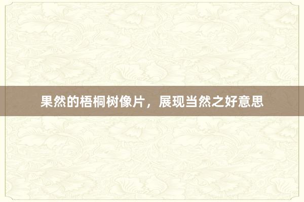 果然的梧桐树像片，展现当然之好意思