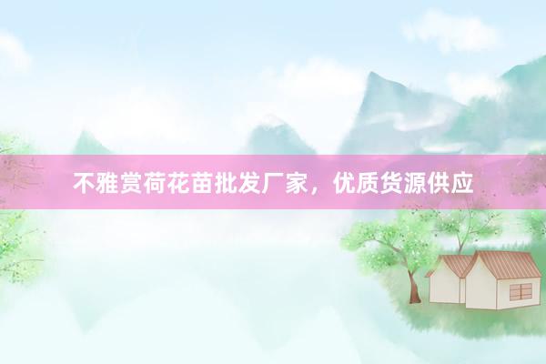 不雅赏荷花苗批发厂家,优质货源供应