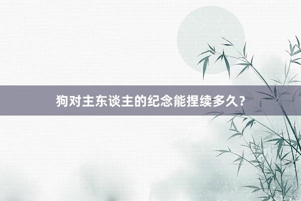 狗对主东谈主的纪念能捏续多久？