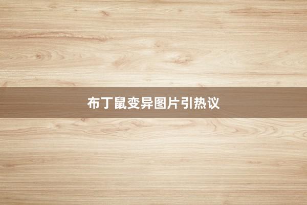 布丁鼠变异图片引热议