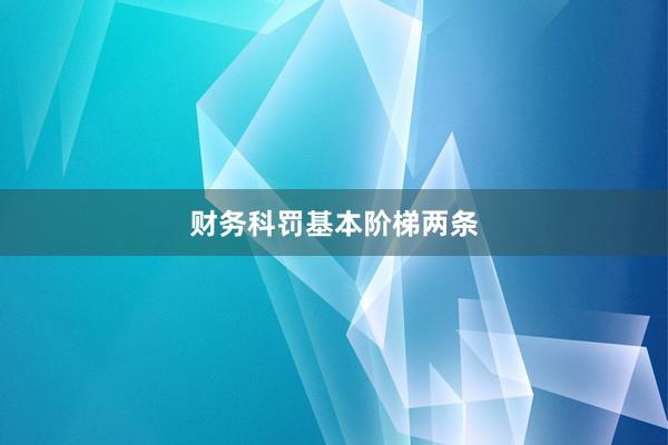 财务科罚基本阶梯两条